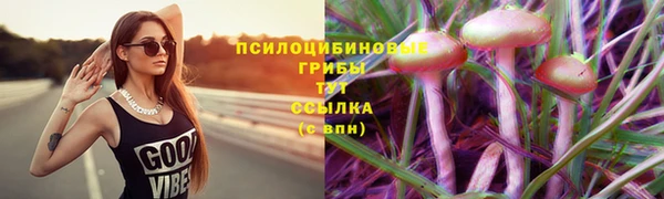 мдпв Гусев