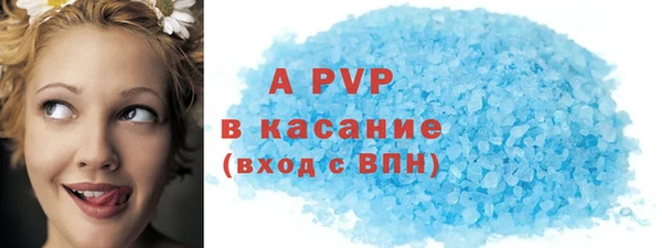 мдпв Гусев