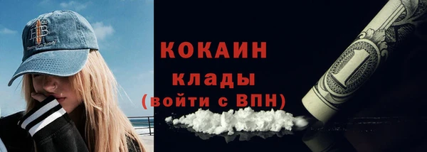 мдпв Гусев