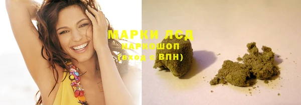 мдпв Гусев