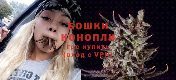 PSILOCYBIN Гусь-Хрустальный
