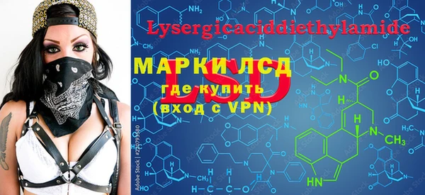 мдпв Гусев