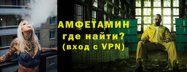 мдпв Гусев