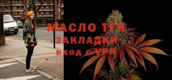 мдпв Гусев
