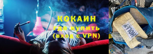 мдпв Гусев