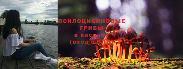 прущий лед Горно-Алтайск