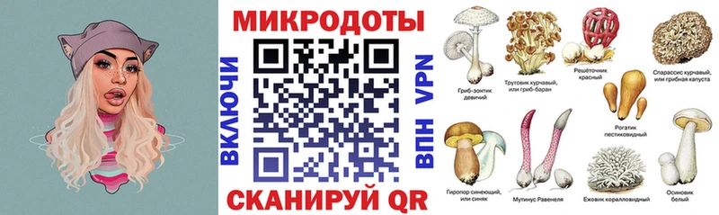 Галлюциногенные грибы Psilocybe  Щёлково 